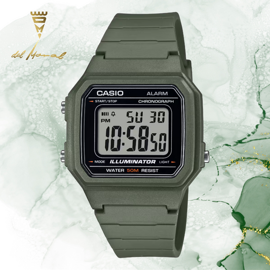 Casio W-217H-3AVCF